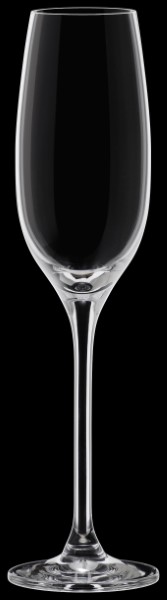 EDITION Champagne flute 07 15 cl